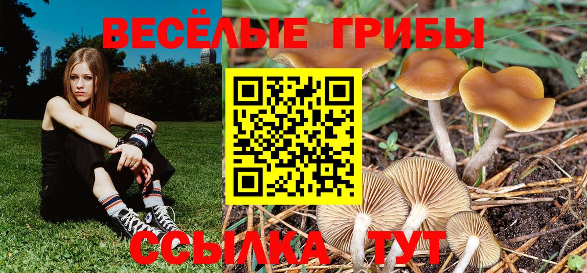 Псилоцибиновые грибы ЛСД Артём